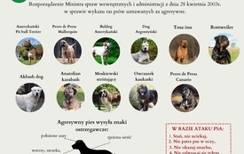 plakat nowy