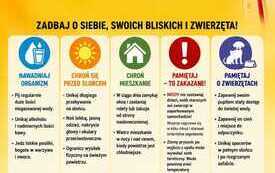 Upały plakat.jpeg