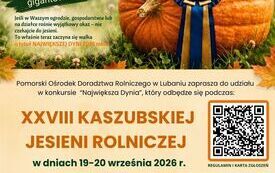 Największa dynia (1) (002)