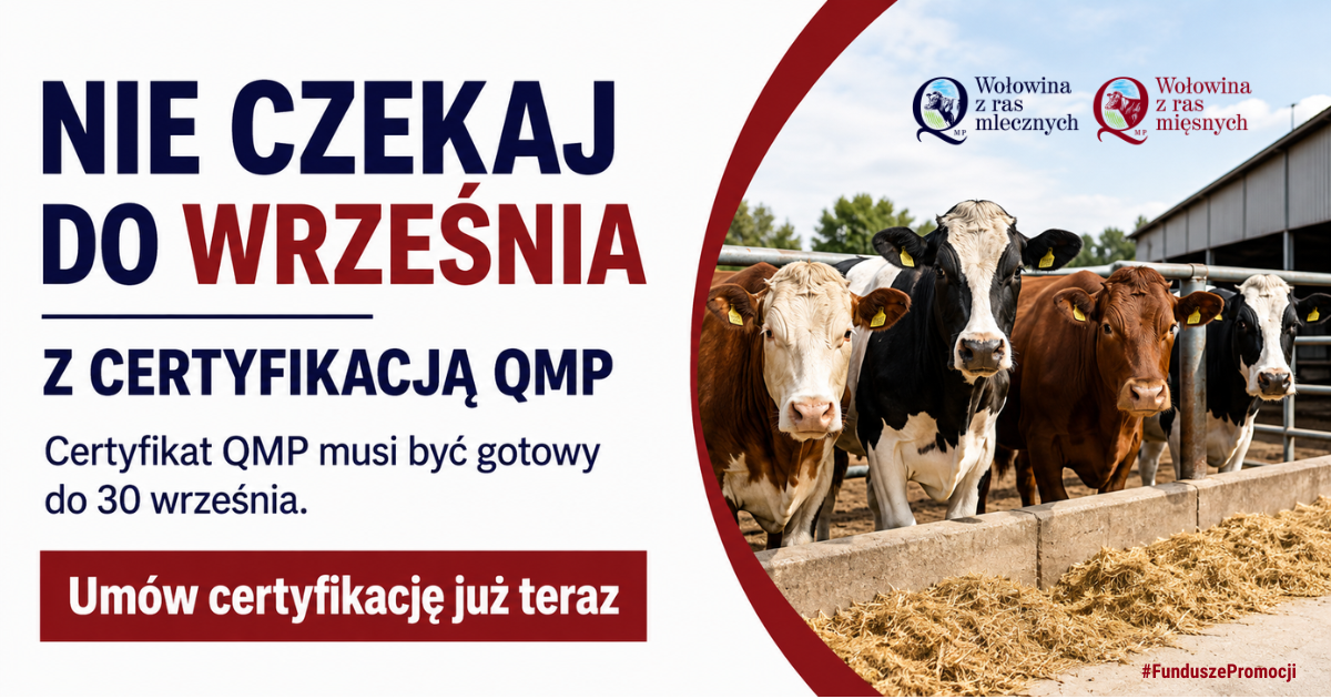 Zdjęcie artykułu z dnia 06-08-2026