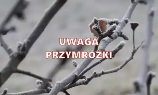 Zdjęcie artykułu z dnia 25-04-2025