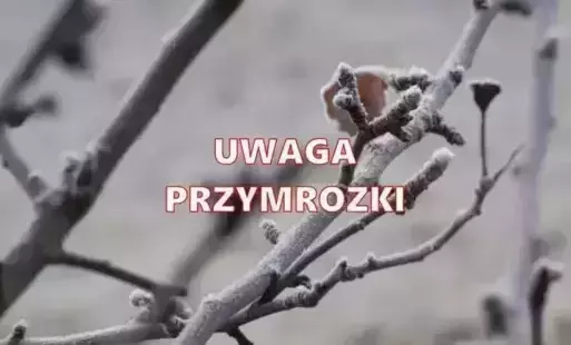 Zdjęcie artykułu z dnia 05-05-2025