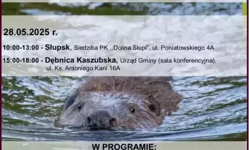 Zdjęcie artykułu z dnia 12-05-2025