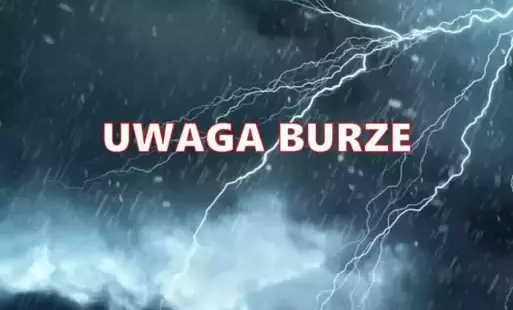 Zdjęcie artykułu z dnia 28-08-2025