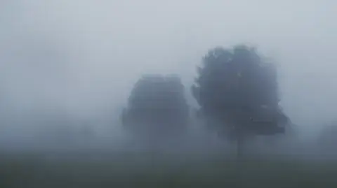 Zdjęcie artykułu z dnia 02-12-2025