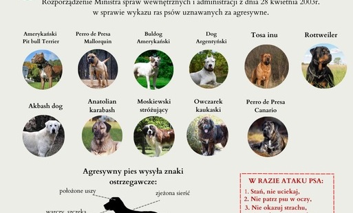 Zdjęcie do Zezwolenie na utrzymanie psa rasy uznanej za agresywną