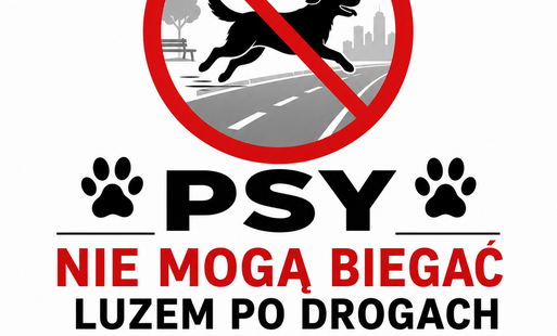Zdjęcie do Przypomnienie dla właścicieli ps&oacute;w!