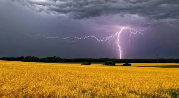 Zdjęcie artykułu z dnia 31-07-2026
