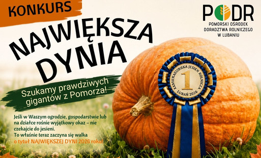 Zdjęcie do Konkurs "Największa dynia"
