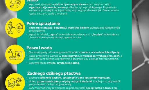 Zdjęcie do Komunikat Gł&oacute;wnego Lekarza Weterynarii dotyczący zagrożenia grypą ptak&oacute;w w związku z jesiennymi migracjami dzikiego ptactwa