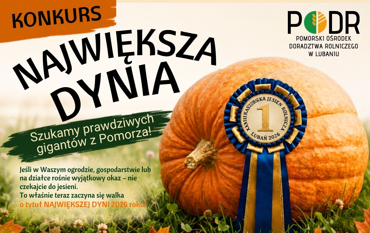 Zdjęcie artykułu z dnia 06-08-2026