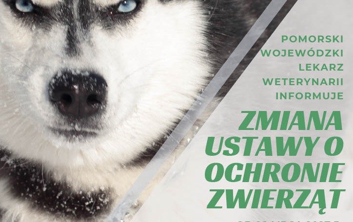Zdjęcie artykułu z dnia 11-09-2026